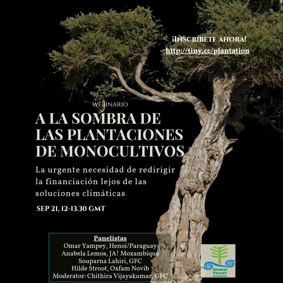 Seminario web: “A la sombra de las plantaciones de monocultivos: la necesidad urgente de desviar el financiamiento de las falsas soluciones climáticas”