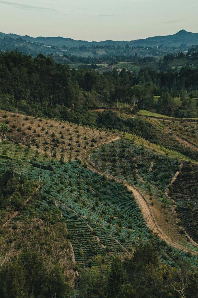 CAMINO A LA COP 16: Declaración de la sociedad civil sobre las compensaciones y créditos de biodiversidad