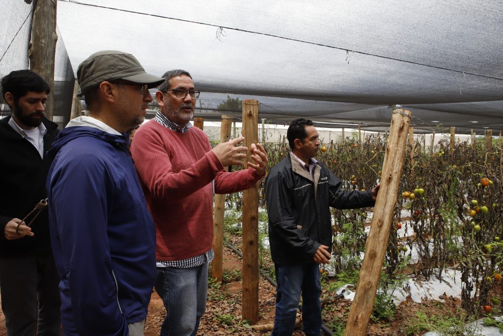 Reflexiones en el Día Internacional de la Madre Tierra: Paraguay ante el desafío de las sustancias tóxicas y los derechos humanos