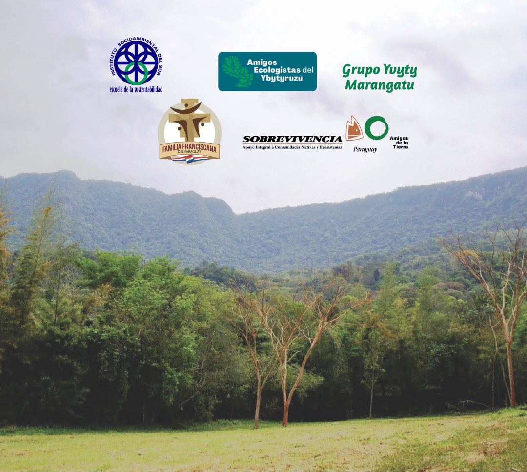 ANUNCIAN GRAN MARCHA POR LA NATURALEZA EN EL YBYTYRUZÚ