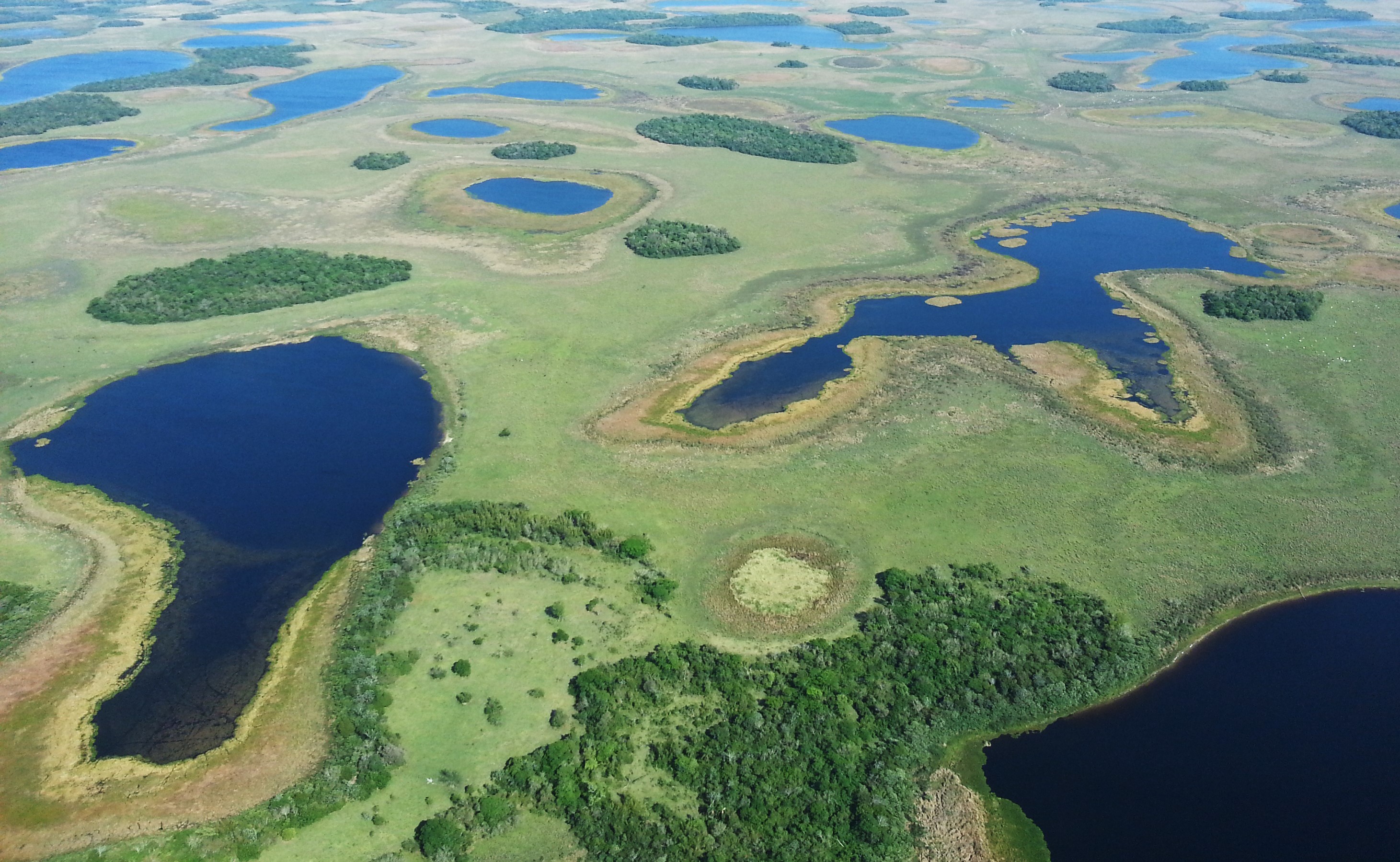 Los humedales del Ñeembucú 