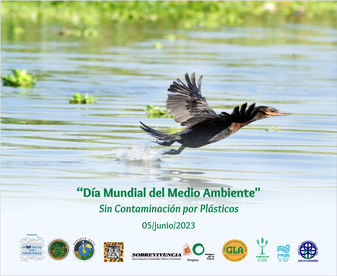 Día Mundial del Medio Ambiente 2023
