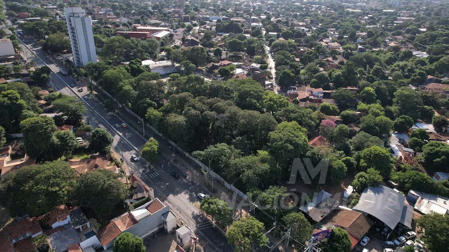 Vecinos en defensa del Bosque de San Vicente último pulmón verde de un barrio histórico