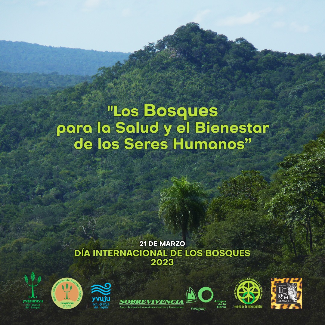 DÍA INTERNACIONAL DE LOS BOSQUES