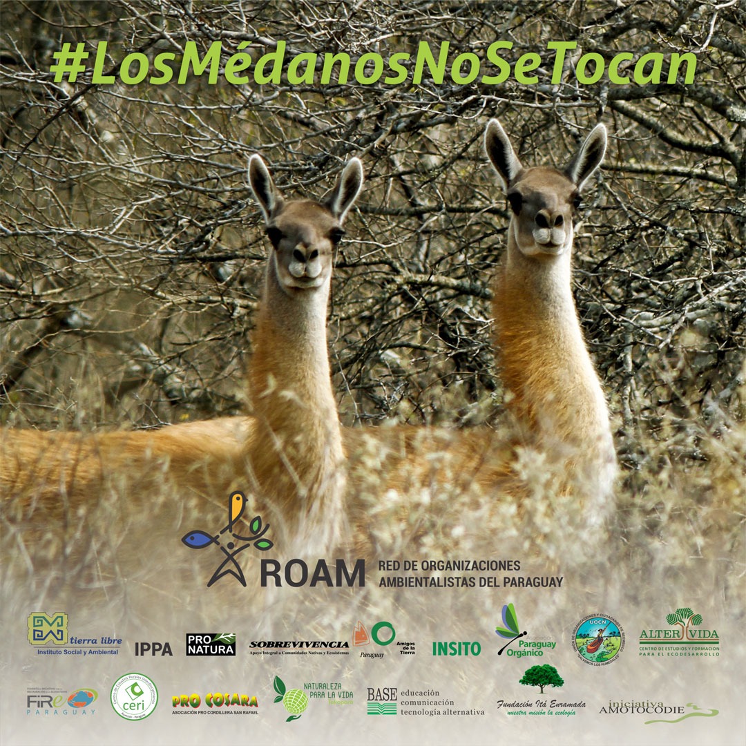 ¡EMERGENCIA AMBIENTAL EN EL PARAGUAY!  Los Médanos del Chaco no se Tocan.