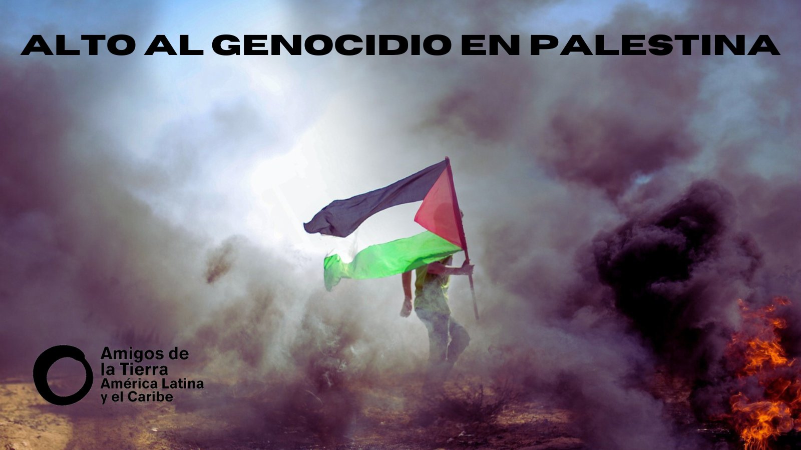Alto al genocidio en Palestina