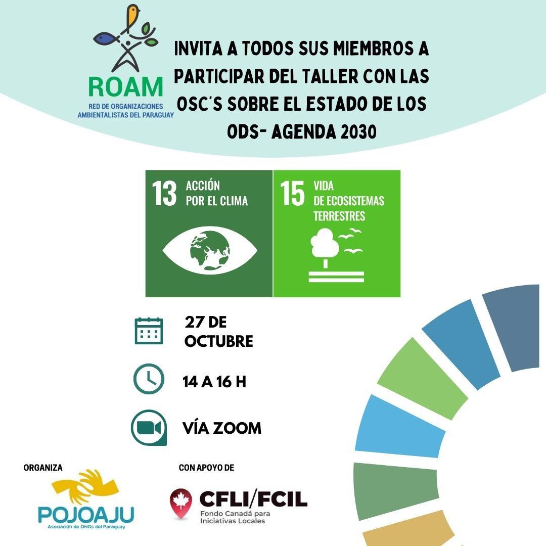 Taller con las Organizaciones de la Sociedad Civil sobre el estado de los ODS- Agenda 2030