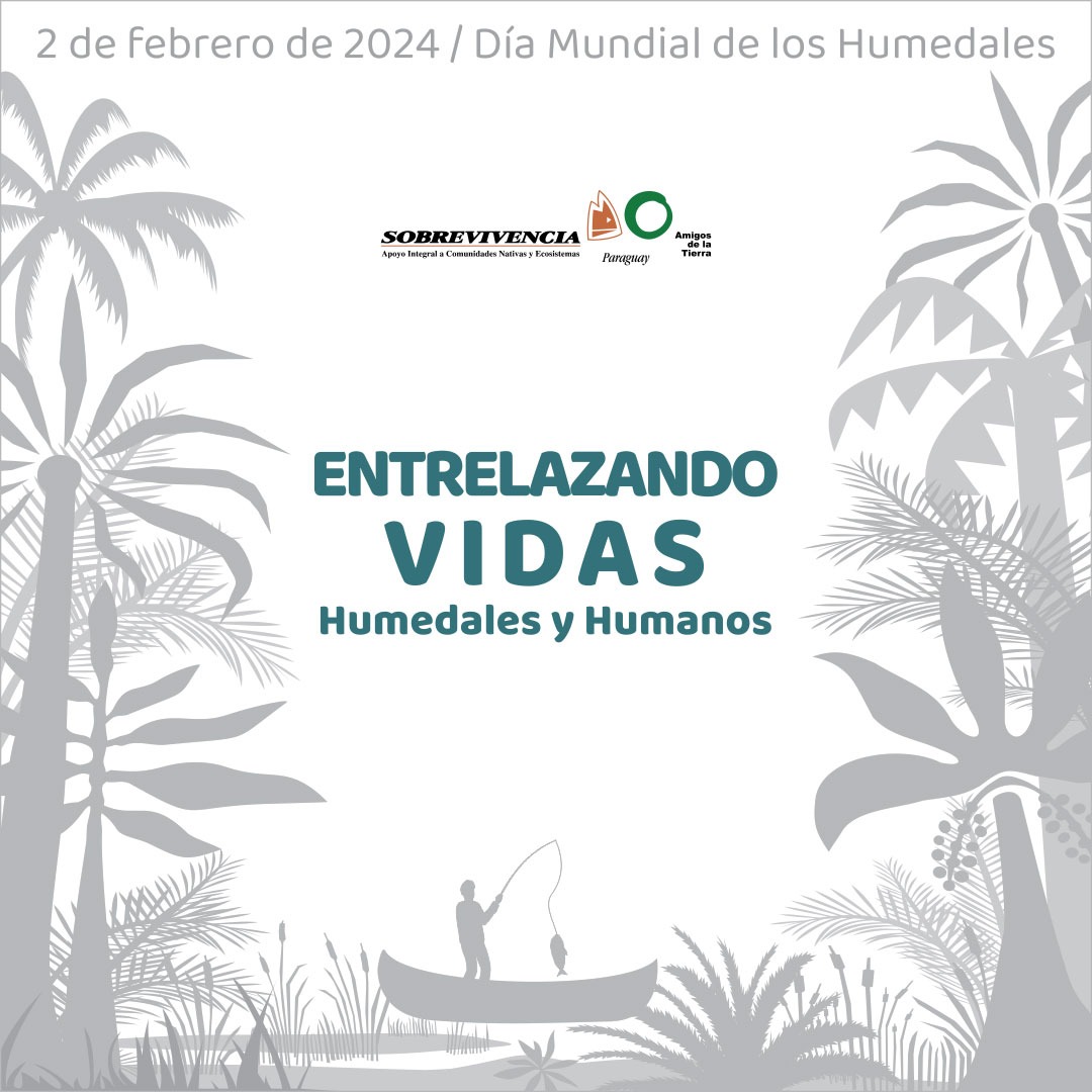    ¡Celebremos juntos el Día Mundial de los Humedales! 🦋💧