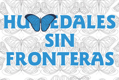 Humedales Sin Fronteras