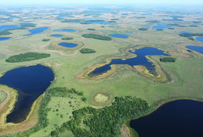 Observatorios de la Biodiversidad