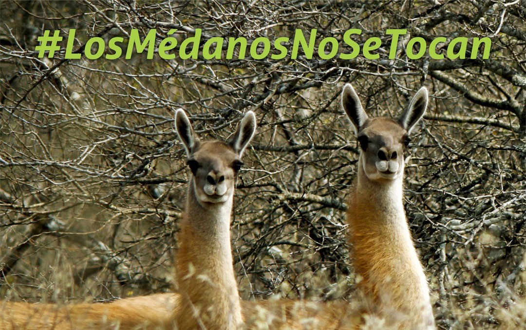 PARTICIPAMOS DE LA MESA DE TRABAJO CONFORMADA EN EL CONGRESO NACIONAL.